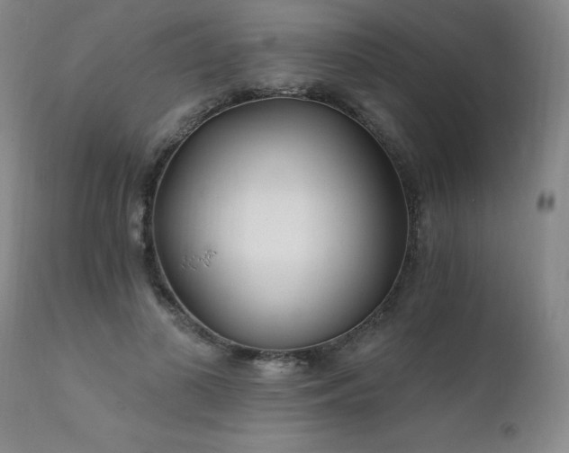 X0000111930693200907271314