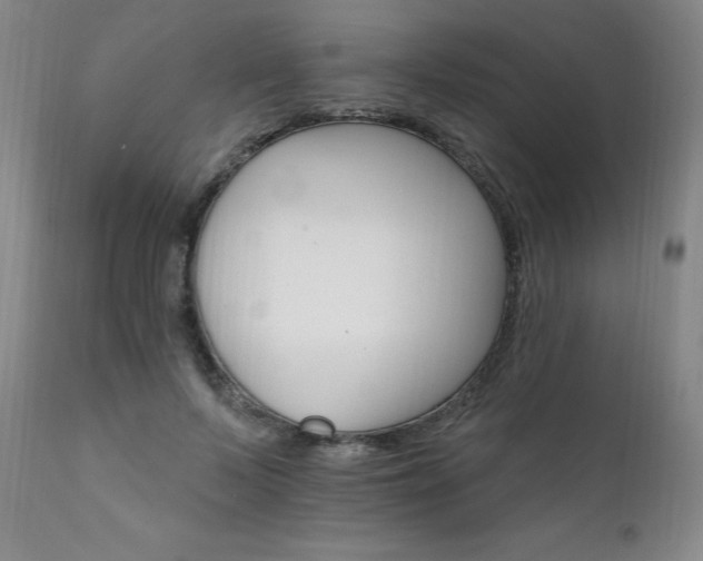 X0000111930695200907271313