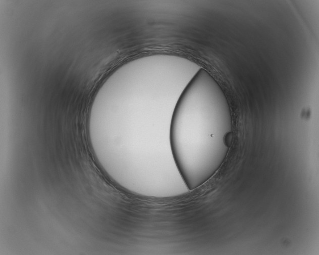X0000111930697200907271313