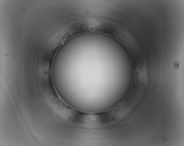 X0000111930698200907271313