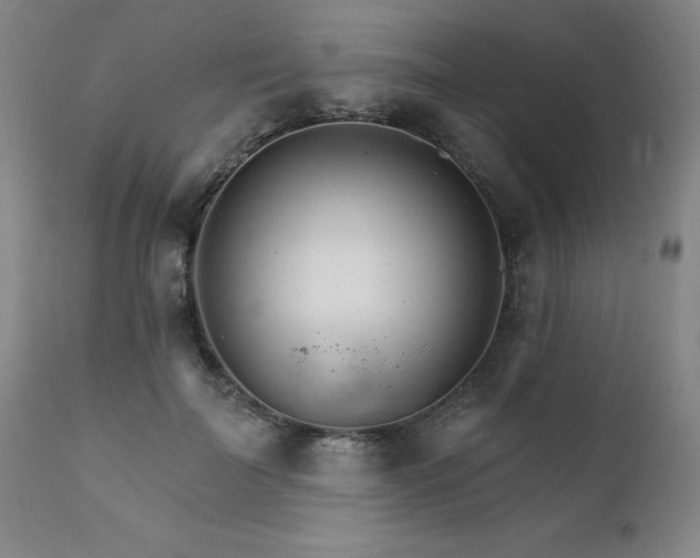 X0000111930699200907271313