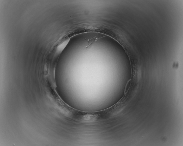 X0000111930700200907271313