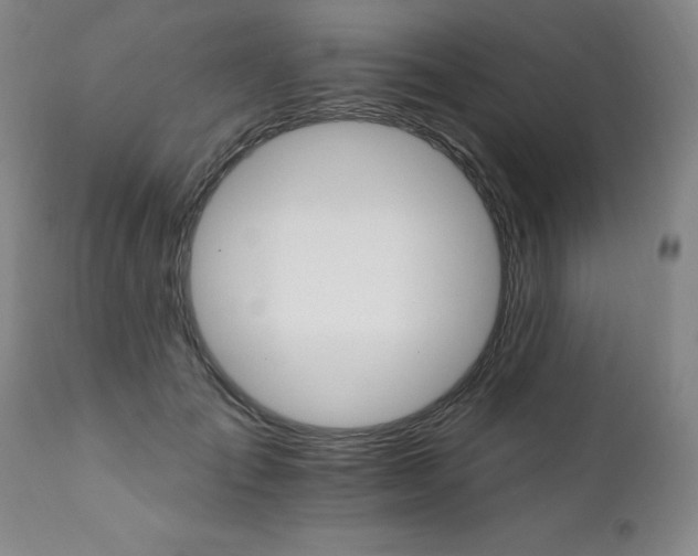 X0000111930701200907271313