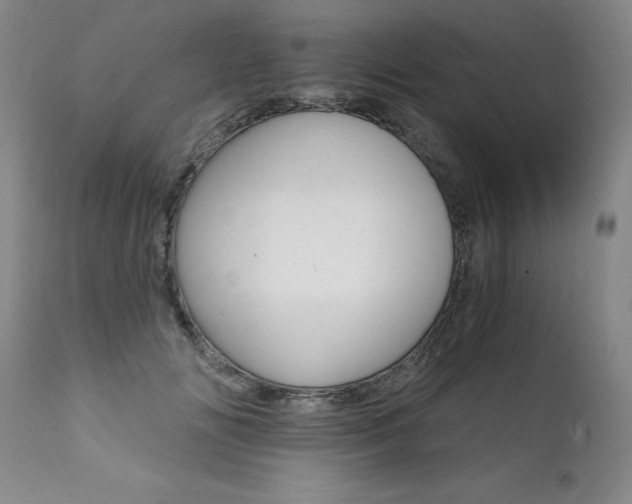 X0000111930702200907271313