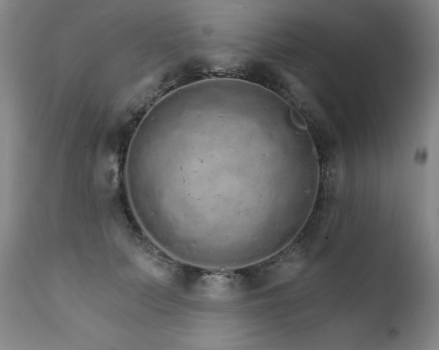 X0000111930703200907271313