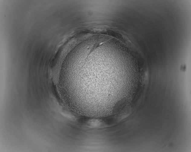 X0000111930704200907271313
