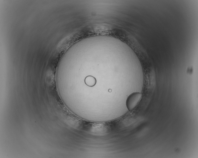 X0000111930705200907271313