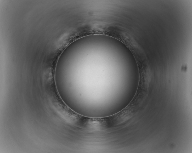 X0000111930706200907271313