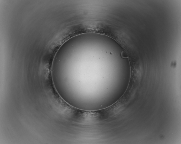 X0000111930707200907271313