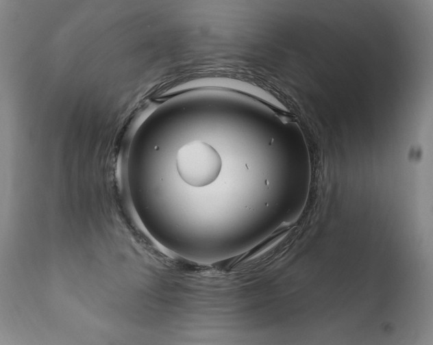 X0000111930708200907271313