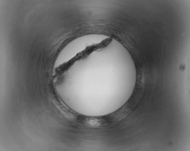 X0000111930710200907271313
