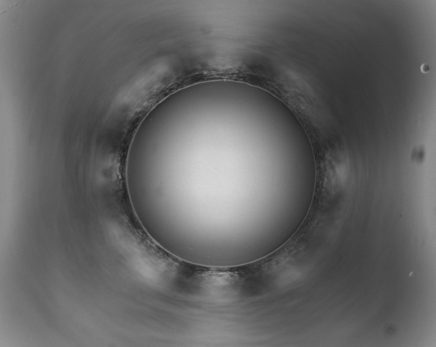 X0000111930711200907271313