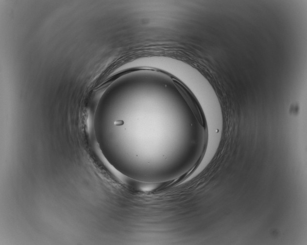 X0000111930712200907271313