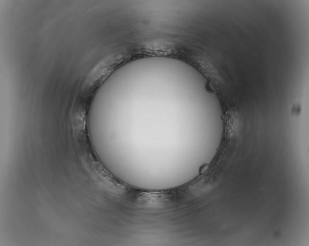 X0000111930713200907271313