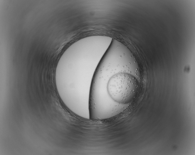 X0000111930715200907271313