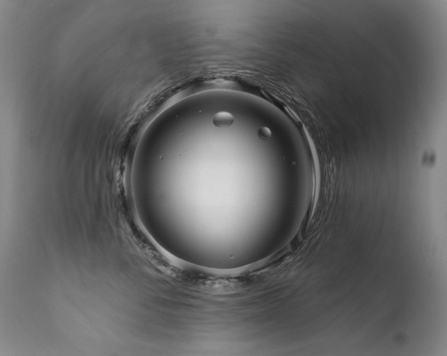 X0000111930716200907271313