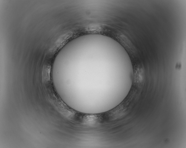 X0000111930717200907271313