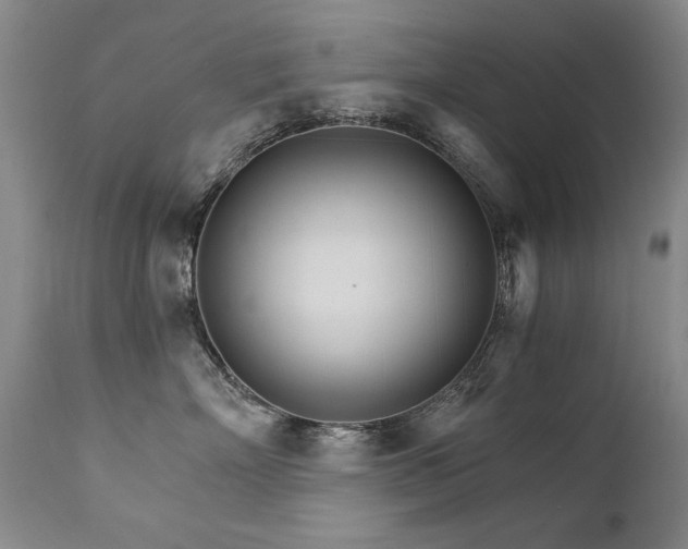 X0000111930718200907271313