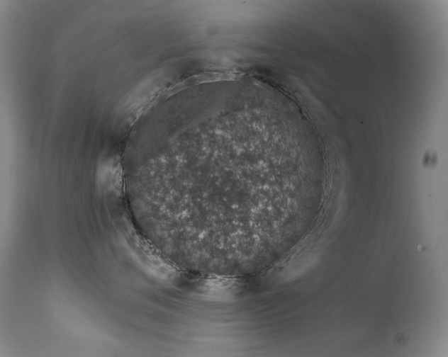 X0000111930720200907271313