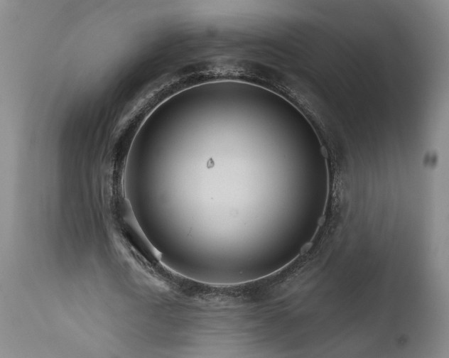 X0000111930722200907271313