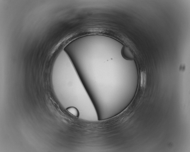 X0000111930723200907271313