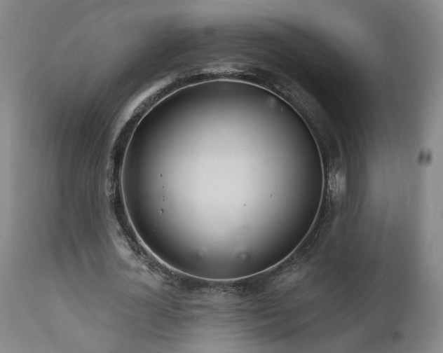 X0000111930724200907271313