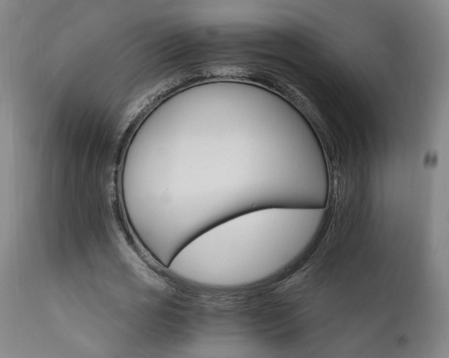 X0000111930725200907271313