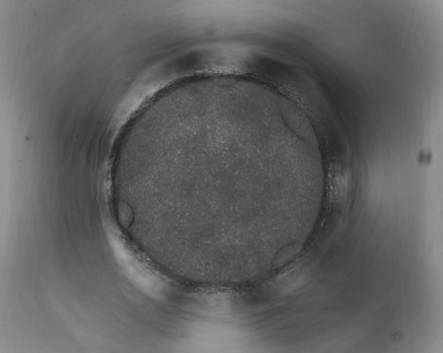 X0000111930726200907271313