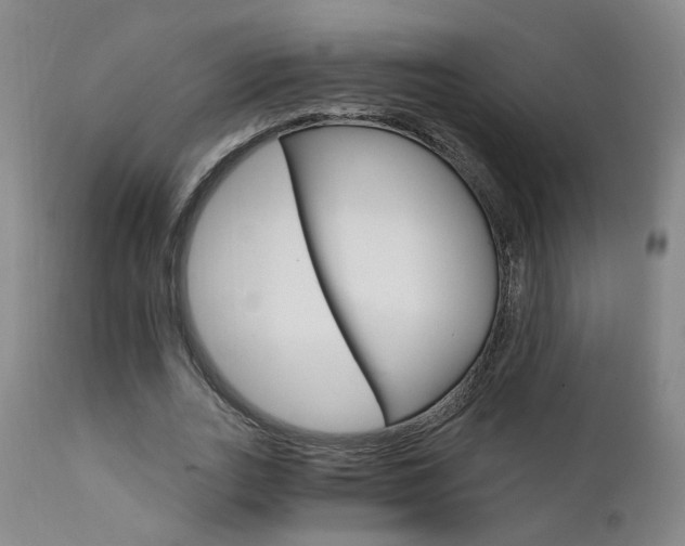 X0000111930727200907271313
