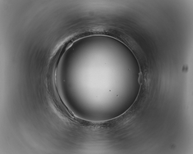 X0000111930728200907271313