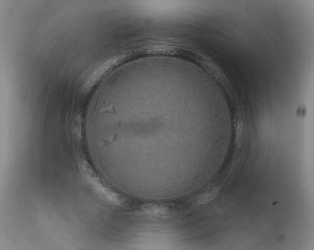 X0000111930729200907271313