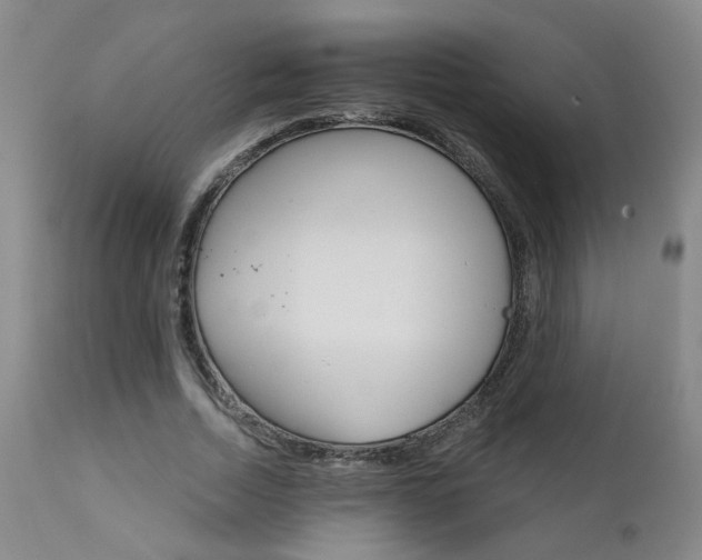 X0000111930730200907271313