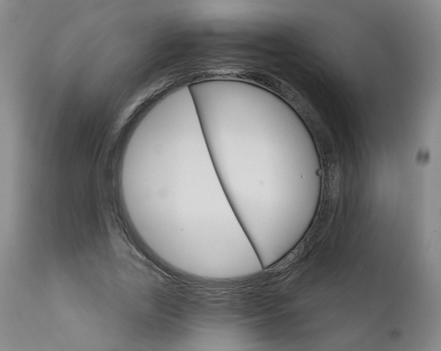 X0000111930731200907271313