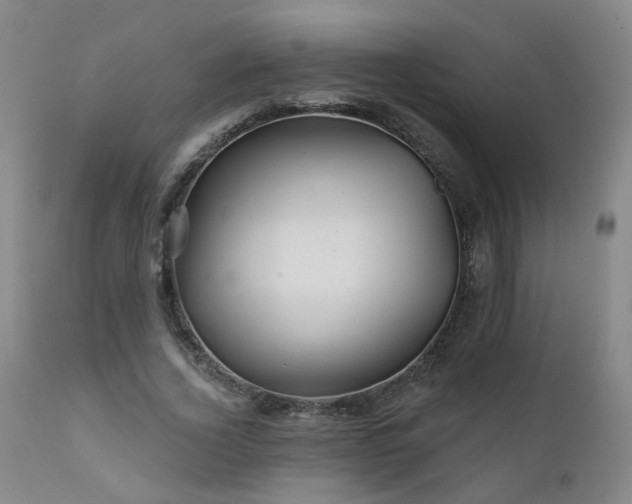 X0000111930732200907271313