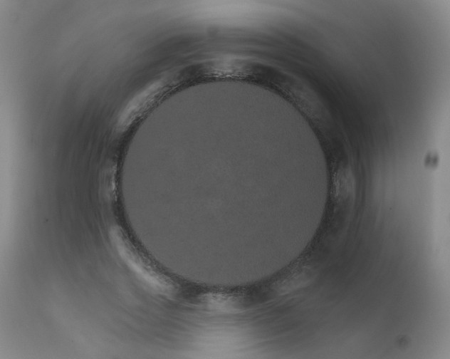 X0000111930733200907271313