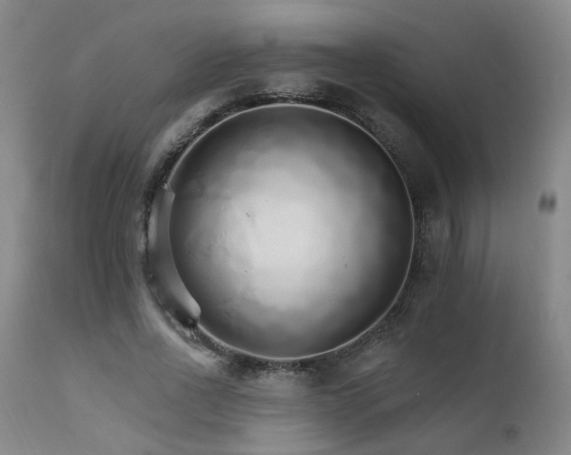 X0000111930734200907271313