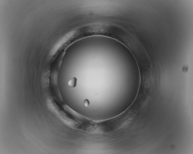 X0000111930735200907271313