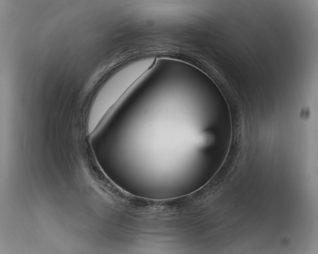 X0000111930736200907271313