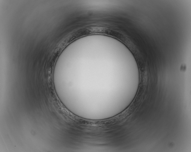 X0000111930737200907271313