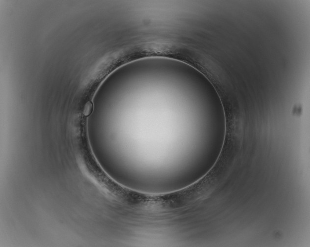 X0000111930738200907271313