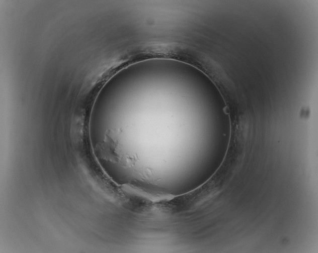 X0000111930739200907271313