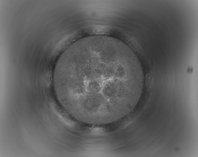 X0000111930741200907271313