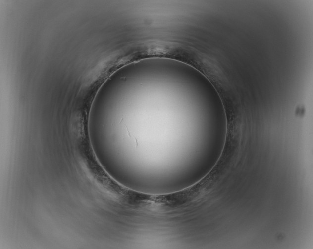 X0000111930743200907271313
