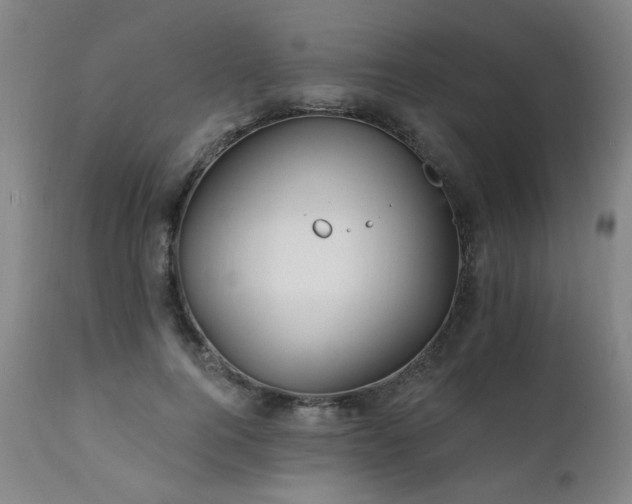 X0000111930744200907271313