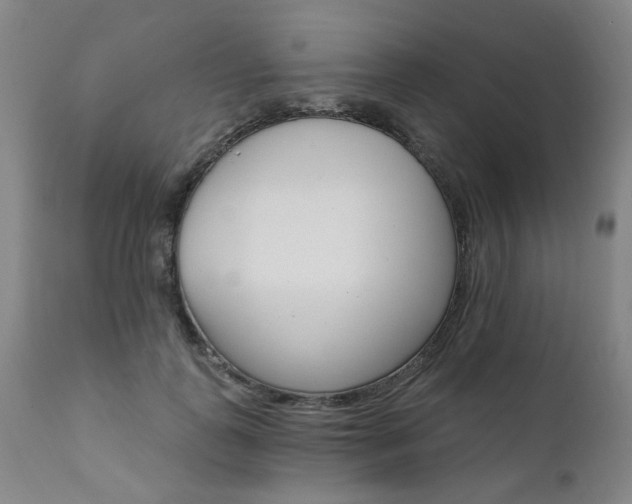 X0000111930747200907271313