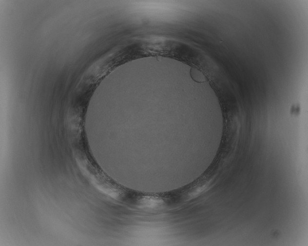 X0000111930749200907271313