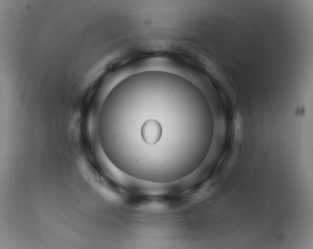 X0000111930750200907271313