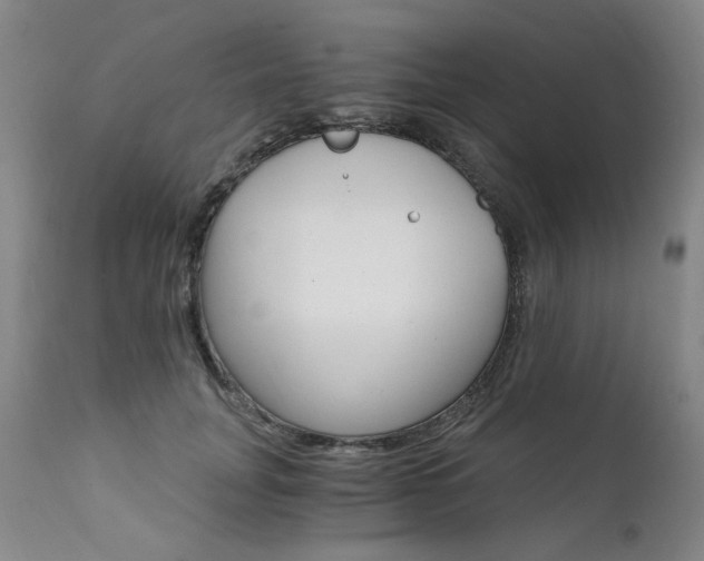 X0000111930751200907271313