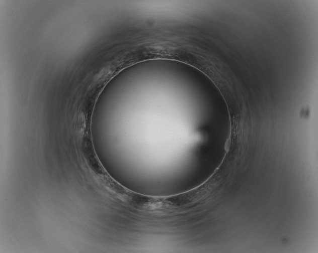 X0000111930752200907271313