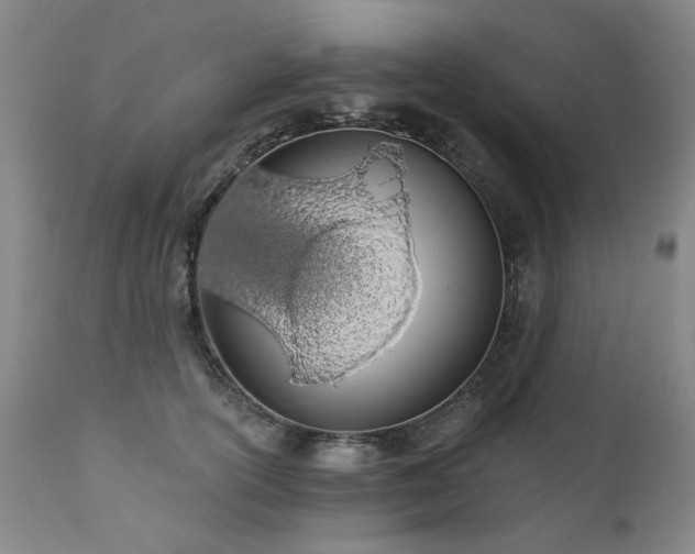X0000111930754200907271313